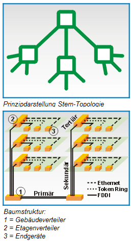 Stern-Topologie